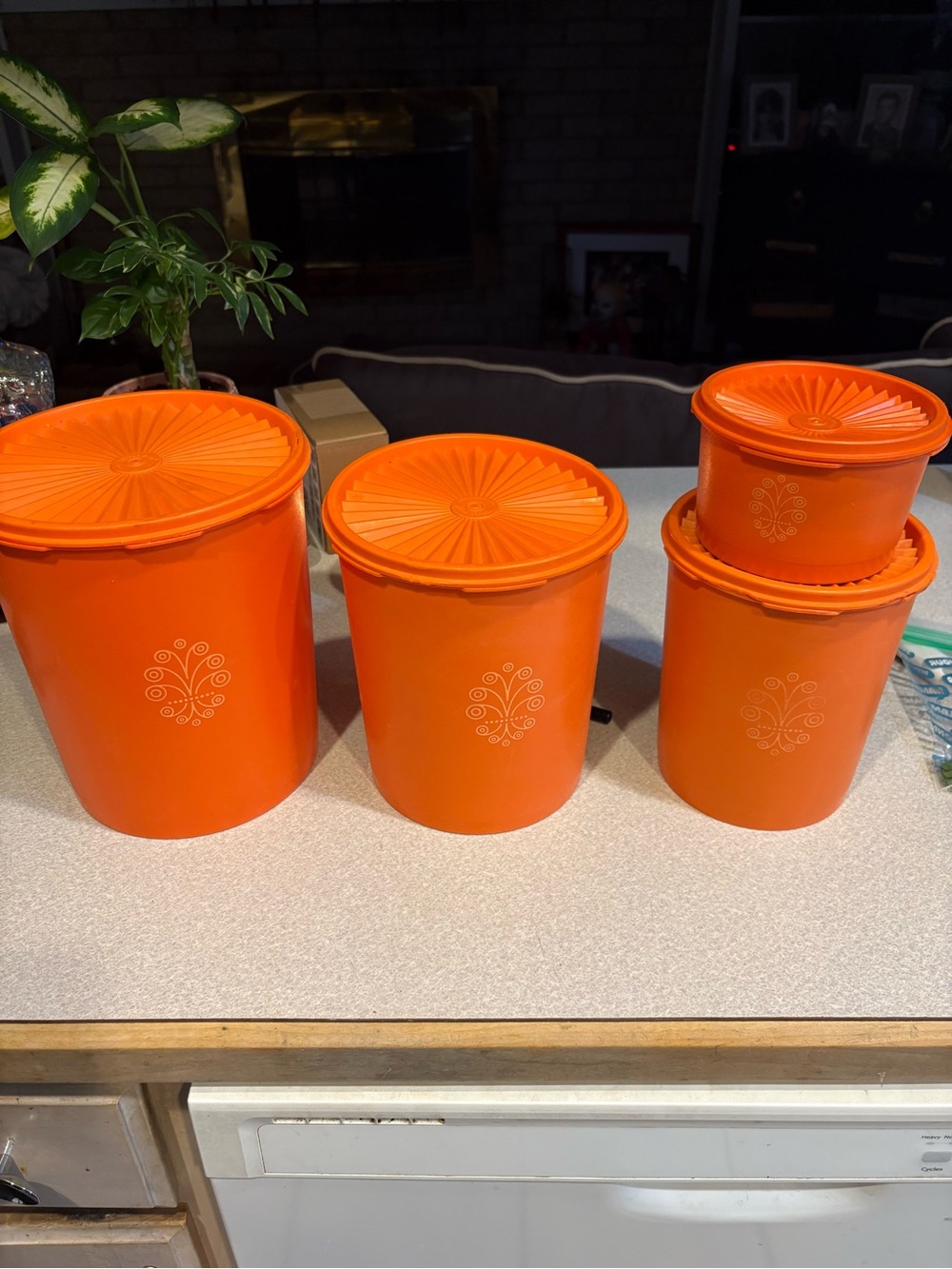 Orange Vintage-Style Storage Canister Set - Home Accents